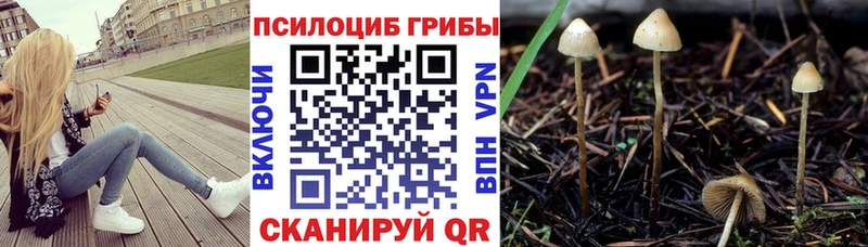 Галлюциногенные грибы Magic Shrooms  закладка  Ядрин 